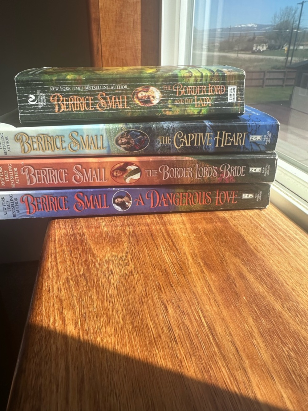 Berrice Small Paperback Romance Books Border Lord series
